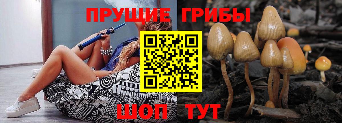 Псилоцибиновые грибы GOLDEN TEACHER Нововоронеж